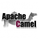 Apache Camel Training in the Netherlands