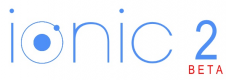 Ionic Training in the Netherlands