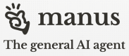 Manus AI Trainingen in Nederland