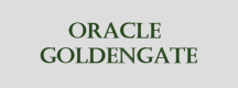 Oracle GoldenGate Trainingen in Nederland