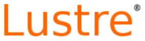 Lustre Trainingen in Nederland