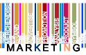 Marketing Training in the Netherlands