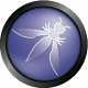 Image for the OWASP
