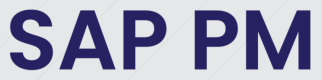 Category for SAP PM Trainingen in Nederland