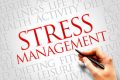 Image for the Stress Management