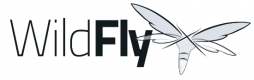 Image for the Wildfly